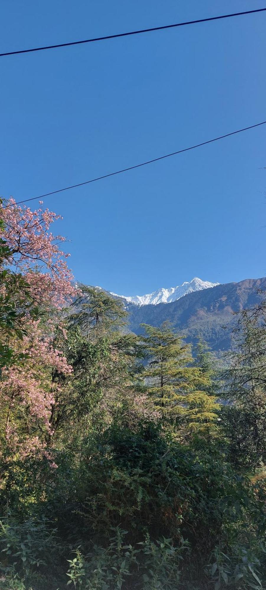 Mountain Heaven Mcleodganj Hotel Дхарамсала Екстериор снимка